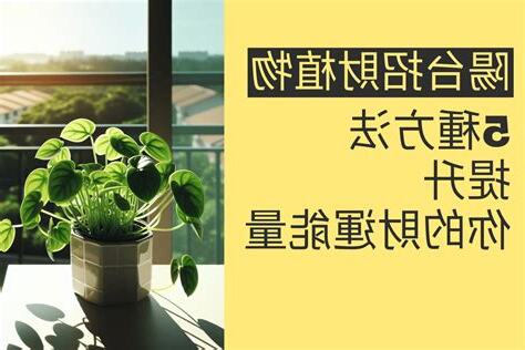 前陽台 招財植物